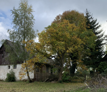 Jestřebí nad Metují