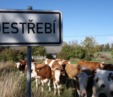 Jestřebí nad Metují