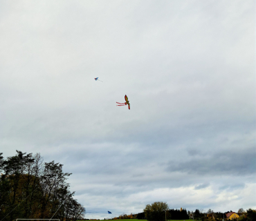 Drakiáda a dýňování