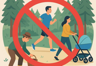 LESY Bartoň-Dobenín